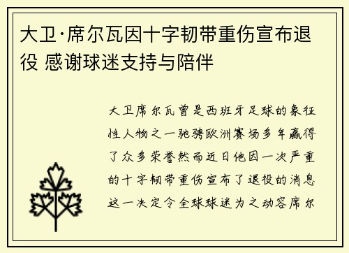 大卫·席尔瓦因十字韧带重伤宣布退役 感谢球迷支持与陪伴