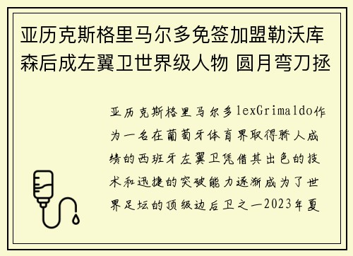 亚历克斯格里马尔多免签加盟勒沃库森后成左翼卫世界级人物 圆月弯刀拯救球队